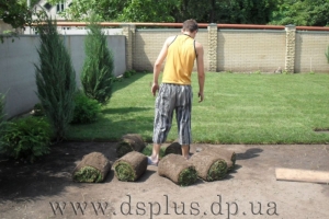 photo _1